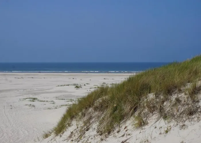 Meyers Logierhaus Moewe Appartement